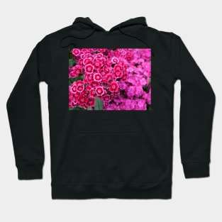 Sweet William pink flower Auricula-Eyed Mixed Hoodie